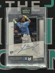 2024 Museum Collection Junior Caminero Archival Autograph /299
