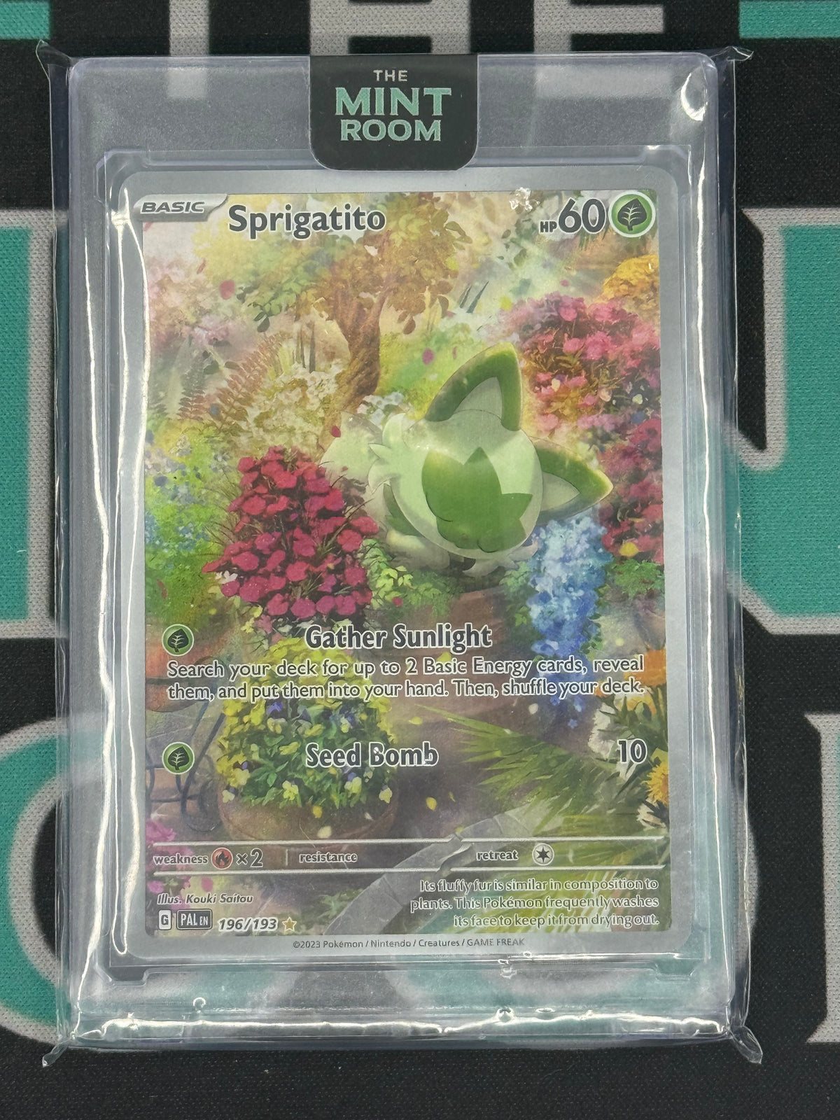 2023 Paldea Evolved Sprigatito Illustration Rare